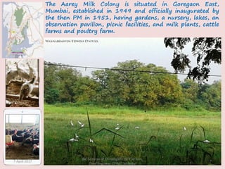 Array Colony Building and Construction Materials for Sustainable Development | PPTX