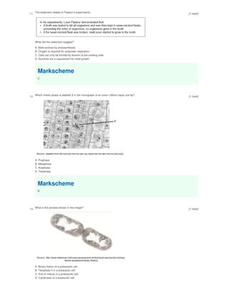 11.
The statement relates to Pasteur’s experiments.
What did this statement suggest?
A. Mold evolved by endosymbiosis.
B. Oxygen is required for anaerobic respiration.
C. Cells can only be formed by division of pre-existing cells.
D. Nutrients are a requirement for mold growth.
Markscheme
C
12. Which mitotic phase is labelled X in the micrograph of an onion (Allium cepa) root tip?
A. Prophase
B. Metaphase
C. Anaphase
D. Telophase
Markscheme
B
13.
What is the process shown in this image?
A. Binary fission of a prokaryotic cell
B. Telophase II in a eukaryotic cell
C. End of mitosis in a prokaryotic cell
D. Cytokinesis of a eukaryotic cell
[1 mark]
[1 mark]
[1 mark]
 