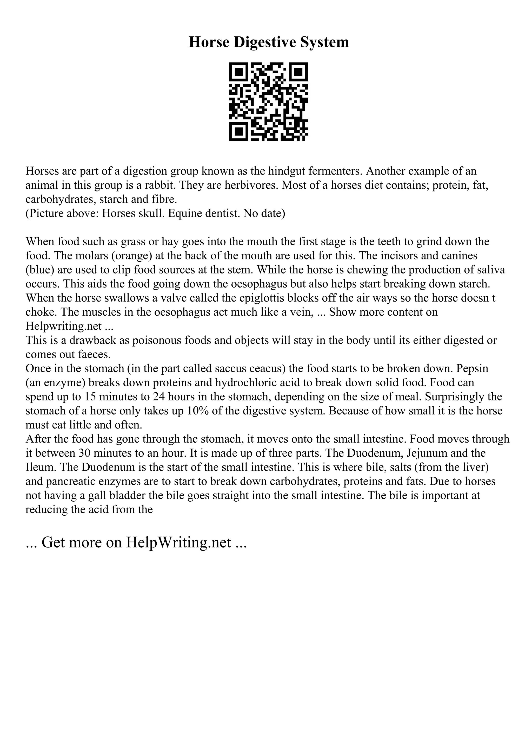 Horse Digestive System
Horses are part of a digestion group known as the hindgut fermenters. Another example of an
animal in this group is a rabbit. They are herbivores. Most of a horses diet contains; protein, fat,
carbohydrates, starch and fibre.
(Picture above: Horses skull. Equine dentist. No date)
When food such as grass or hay goes into the mouth the first stage is the teeth to grind down the
food. The molars (orange) at the back of the mouth are used for this. The incisors and canines
(blue) are used to clip food sources at the stem. While the horse is chewing the production of saliva
occurs. This aids the food going down the oesophagus but also helps start breaking down starch.
When the horse swallows a valve called the epiglottis blocks off the air ways so the horse doesn t
choke. The muscles in the oesophagus act much like a vein, ... Show more content on
Helpwriting.net ...
This is a drawback as poisonous foods and objects will stay in the body until its either digested or
comes out faeces.
Once in the stomach (in the part called saccus ceacus) the food starts to be broken down. Pepsin
(an enzyme) breaks down proteins and hydrochloric acid to break down solid food. Food can
spend up to 15 minutes to 24 hours in the stomach, depending on the size of meal. Surprisingly the
stomach of a horse only takes up 10% of the digestive system. Because of how small it is the horse
must eat little and often.
After the food has gone through the stomach, it moves onto the small intestine. Food moves through
it between 30 minutes to an hour. It is made up of three parts. The Duodenum, Jejunum and the
Ileum. The Duodenum is the start of the small intestine. This is where bile, salts (from the liver)
and pancreatic enzymes are to start to break down carbohydrates, proteins and fats. Due to horses
not having a gall bladder the bile goes straight into the small intestine. The bile is important at
reducing the acid from the
... Get more on HelpWriting.net ...
 