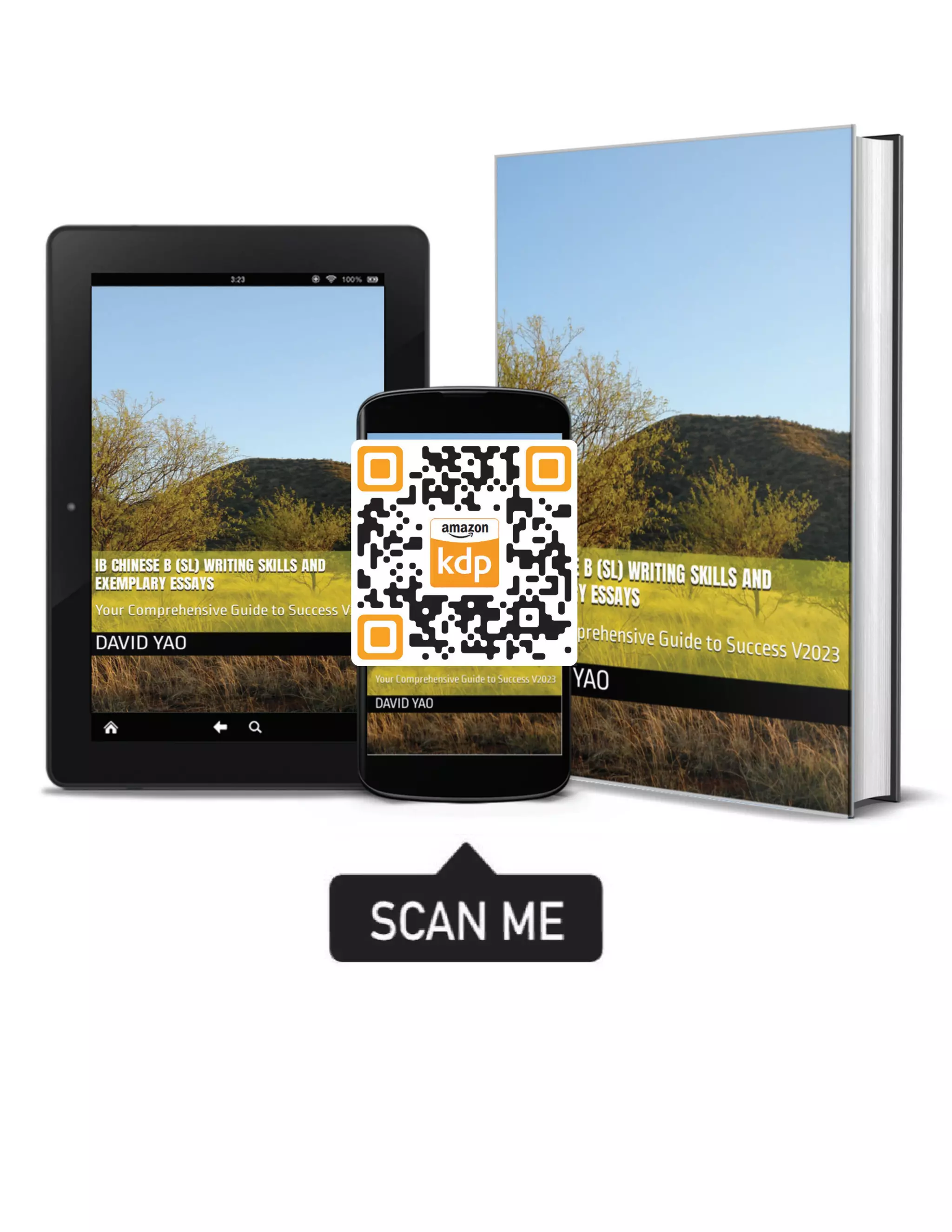 IB Chinese B (SL) Writing Skills and Exemplary Essays IB中文考试写作技巧与范文指南 | PDF