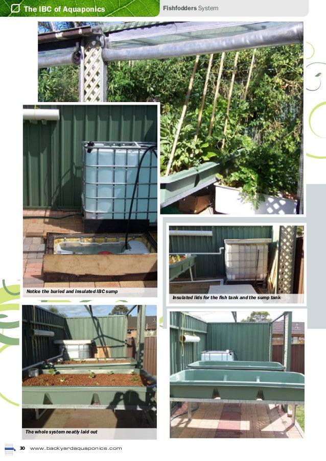 The IBC of aquaponics