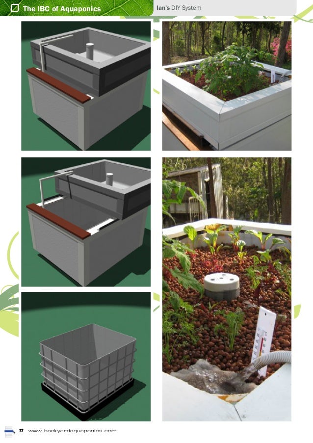 Aquaponic powerpoint 