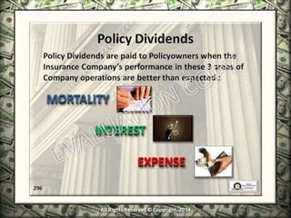 Infinite Banking & Personal Economics