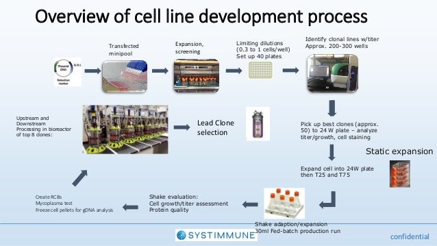 Presentation by Systimunne - at the Cell Line Development & Engineeri…