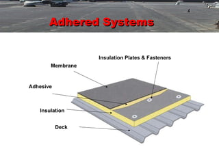 Adhered Systems Membrane Insulation Deck Deck Insulation Insulation Plates & Fasteners Adhesive Adhesive 