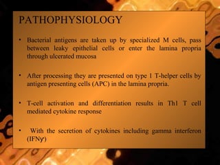 PATHOPHYSIOLOGY
• Bacterial antigens are taken up by specialized M cells, pass
between leaky epithelial cells or enter the lamina propria
through ulcerated mucosa
• After processing they are presented on type 1 T-helper cells by
antigen presenting cells (APC) in the lamina propria.
• T-cell activation and differentiation results in Th1 T cell
mediated cytokine response
• With the secretion of cytokines including gamma interferon
(IFN )ƴ
 