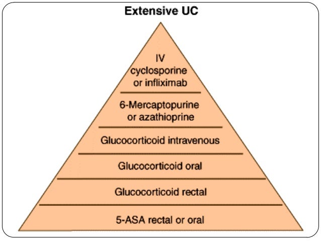 Azathioprine For Dogs With Ibd
