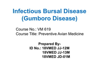 Infectious Bursal Disease
(Gumboro Disease)
Prepared By-
ID No.: 18VMED JJ-12M
18VMED JJ-13M
18VMED JD-01M
Course No.: VM 619
Course Title: Preventive Avian Medicine
 