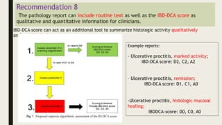 ibd.pptx