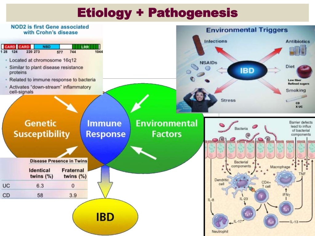 Inflammatory Bowel Disease (IBD) Histopathology