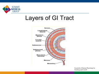 Layers of GI Tract
Essentials of Human Physiology by
Ginsburg and Costoff
 