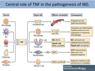 Central role of TNF in the pathogenesis of IBD.
 