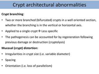 Crypt architectural abnormalities
Crypt branching:
• Two or more branched (bifurcated) crypts in a well oriented section,
whether the branching is in the vertical or horizontal axis.
• Applied to a single crypt Less specific
• The pathogenesis can be accounted for by regeneration following
previous damage or destruction (cryptolysis)
Mucosal (crypt) distortion:
• Irregularities in crypt size (i.e. variable diameter)
• Spacing
• Orientation (i.e. loss of parallelism)
 