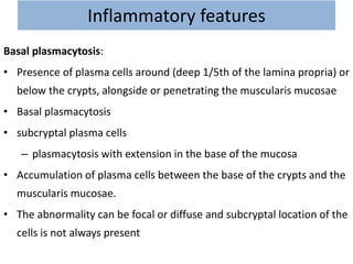 Inflammatory features
Basal plasmacytosis:
• Presence of plasma cells around (deep 1/5th of the lamina propria) or
below the crypts, alongside or penetrating the muscularis mucosae
• Basal plasmacytosis
• subcryptal plasma cells
– plasmacytosis with extension in the base of the mucosa
• Accumulation of plasma cells between the base of the crypts and the
muscularis mucosae.
• The abnormality can be focal or diffuse and subcryptal location of the
cells is not always present
 