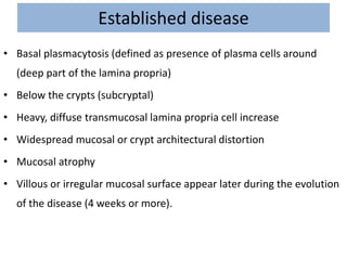 Established disease
• Basal plasmacytosis (defined as presence of plasma cells around
(deep part of the lamina propria)
• Below the crypts (subcryptal)
• Heavy, diffuse transmucosal lamina propria cell increase
• Widespread mucosal or crypt architectural distortion
• Mucosal atrophy
• Villous or irregular mucosal surface appear later during the evolution
of the disease (4 weeks or more).
 