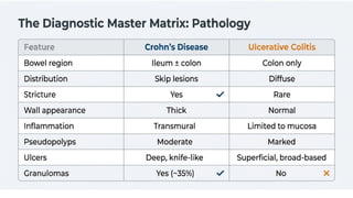 Inflammatory Bowel Disease (IBD): Crohn’s Disease and Ulcerative ...