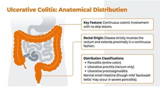 Inflammatory Bowel Disease (IBD): Crohn’s Disease and Ulcerative ...