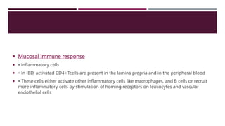  Mucosal immune response
 • Inflammatory cells
 • In IBD, activated CD4+Tcells are present in the lamina propria and in the peripheral blood
 • These cells either activate other inflammatory cells like macrophages, and B cells or recruit
more inflammatory cells by stimulation of homing receptors on leukocytes and vascular
endothelial cells
 