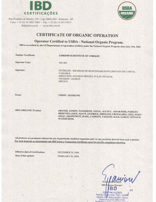 Ibd 2009 mexico_certificate_(1)