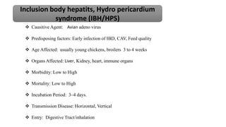  Causitive Agent: Avian adeno virus
 Predisposing factors: Early infection of IBD, CAV, Feed quality
 Age Affected: usually young chickens, broilers 3 to 4 weeks
 Organs Affected: Liver, Kidney, heart, immune organs
 Morbidity: Low to High
 Mortality: Low to High
 Incubation Period: 3–4 days.
 Transmission Disease: Horizontal, Vertical
 Entry: Digestive Tract/inhalation
Inclusion body hepatits, Hydro pericardium
syndrome (IBH/HPS)
 