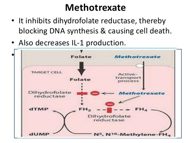 inflammatory bowel disease ankita methotrexate moa