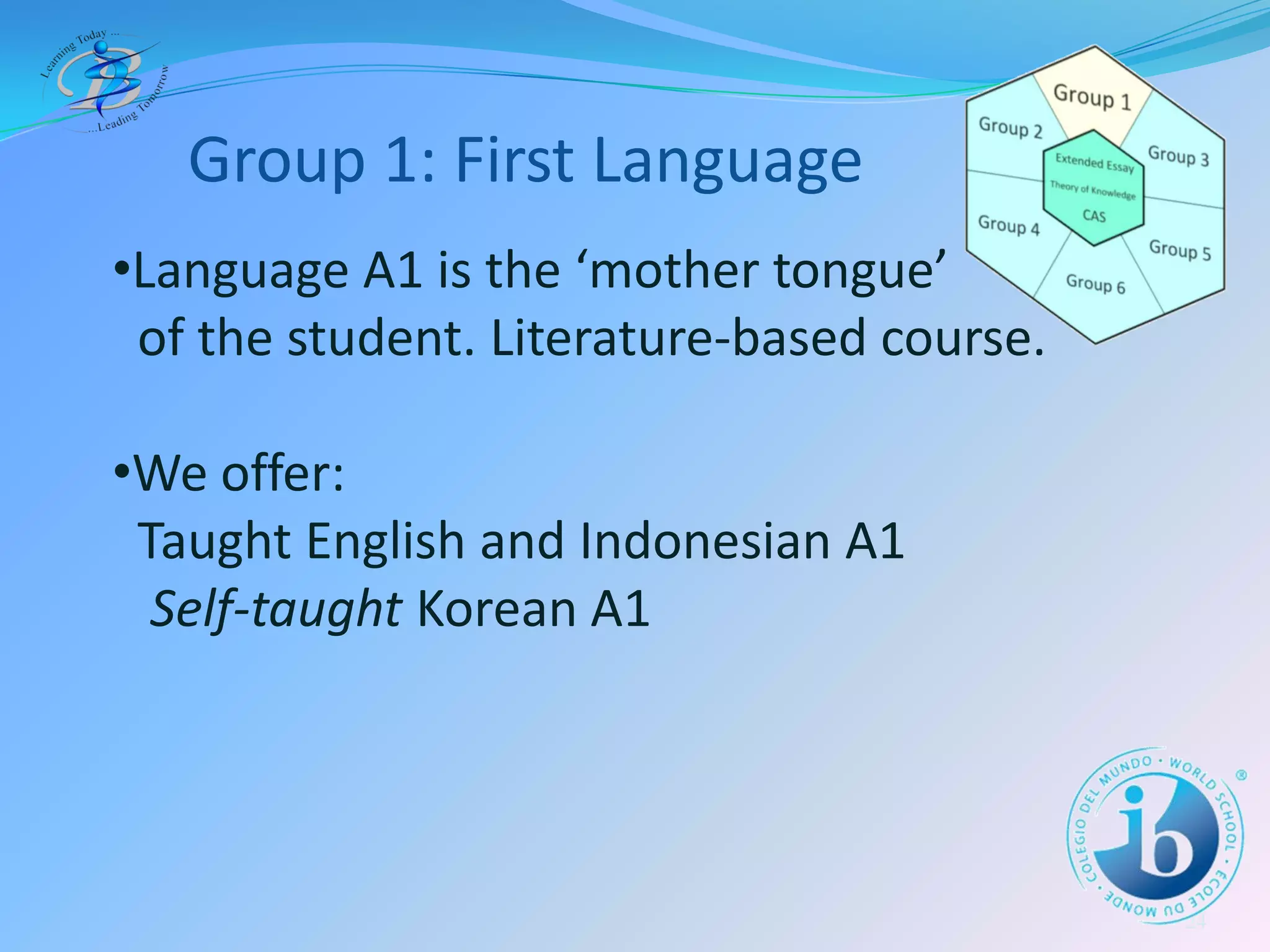 The IB Diploma Programme at BIS