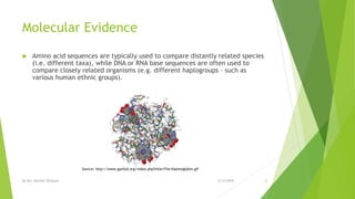 Molecular Evidence
 Amino acid sequences are typically used to compare distantly related species
(i.e. different taxa), while DNA or RNA base sequences are often used to
compare closely related organisms (e.g. different haplogroups – such as
various human ethnic groups).
2/12/2018By Mrs. Mariam Ohanyan 12
Source: http://www.ganfyd.org/index.php?title=File:Haemoglobin.gif
 
