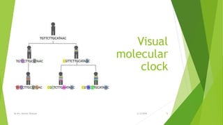 Visual
molecular
clock
2/12/2018By Mrs. Mariam Ohanyan 15
 