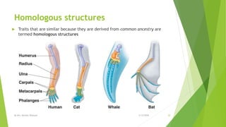 Homologous structures
 Traits that are similar because they are derived from common ancestry are
termed homologous structures
2/12/2018By Mrs. Mariam Ohanyan 20
 