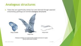 Analogous structures
 Traits that are superficially similar but were derived through separate
evolutionary pathways are termed analogous structures
2/12/2018By Mrs. Mariam Ohanyan 21
 