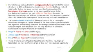  In evolutionary biology, the term analogous structures pertain to the various
structures in different species having the same function but have evolved
separately, thus do not share common ancestor. In comparison, the
homologous structures pertain to the structures that show similar
morphology and anatomy but have different functions. Moreover, the
homologous structures are believed to have evolved from a common ancestor
since they show similar development pattern during embryonic development.
 The term analogous structures is applied in the concept of convergent
evolution (convergence), which pertains to the evolutionary process wherein
the organisms evolve bodily parts that are analogous in terms of structure and
function despite their ancestors that are very dissimilar or unrelated.
Examples of analogous structures are as follows:
 Wings of insects and birds used for flying
 Jointed legs of insects and vertebrates used for locomotion
 Fins of fish and flippers of whales (mammals)
 These structures show that they have the same function, e.g. flight or
locomotion but have a different origin or that they have evolved separately.
2/12/2018By Mrs. Mariam Ohanyan 22
 