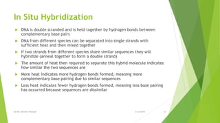 In Situ Hybridization
 DNA is double stranded and is held together by hydrogen bonds between
complementary base pairs
 DNA from different species can be separated into single strands with
sufficient heat and then mixed together
 If two strands from different species share similar sequences they will
hybridize (anneal together to form a double strand)
 The amount of heat then required to separate this hybrid molecule indicates
how similar the two sequences are
 More heat indicates more hydrogen bonds formed, meaning more
complementary base pairing due to similar sequences
 Less heat indicates fewer hydrogen bonds formed, meaning less base pairing
has occurred because sequences are dissimilar
2/12/2018By Mrs. Mariam Ohanyan 25
 