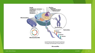 2/12/2018By Mrs. Mariam Ohanyan 29
 