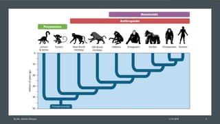 2/12/2018By Mrs. Mariam Ohanyan 5
 