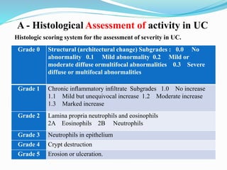Ibd ppt | PPTX