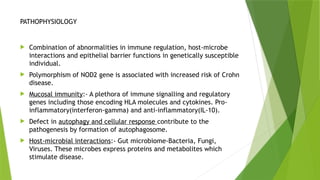 IBD_Presentation_Academic_Professional.pptx