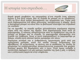 Η ιστορία του στρειδιού….
Καμιά φορά συμβαίνει να εισχωρήσει σ’ενα στρείδι ένας κόκκος
άμμου ή ένα ξένο σώμα. Εάν το στρείδι δε μπορεί να το αποβάλλει,
τότε το ξένο αυτό σώμα διαταράσσει την ισορροπία τoυ. Γύρω από
αυτό δημιουργείται ένα είδος μόλυνσης, σκλήρυνσης ή σήψης. Αυτή
η διαταραχή μπορεί να κάνει όλο το βιολογικό σύστημα του στρειδιού
να νοσήσει.
Για να αμυνθεί, το στρείδι «χτίζει» αλλεπάλληλα στρώματα πέρλας
γύρω από τον κόκκο της άμμου. Έτσι δημιουργείται σιγά σιγά το
μαργαριτάρι. Ο κόκκος απομονώνεται από το περιβάλλον του και δε
μπορεί να βλάψει πια το στρείδι. Το μαργαριτάρι εξασφαλίζει στο
στρείδι την επιβίωση. Ίσως γι αυτό παρομοιάζουν το μαργαριτάρι με
δάκρυ, επειδή κατά κάποιο τρόπο εμπεριέχει τον πόνο.
Παρόμοια αντιδρά και ο ανθρώπινος οργανισμός μετά από μια
τραυματική εμπειρία, κατά την οποία ένιωσε ανήμπορος και
αβοήθητος. Οι αναμνήσεις, οι εικόνες και οι αισθήσεις τις οποίες δε
μπορούμε να επεξεργαστούμε απομονώνονται σωματικά και ψυχικά.
Καποιες φορές δεν θυμόμαστε καν τι έγινε. Όταν όμως υπάρξει η
κατάλληλη αφορμή ή σε μια κρίσιμη περίοδο της ζωή ς μας, ο τρόμος
και η απόγνωση έρχονται στην επιφάνεια.
 