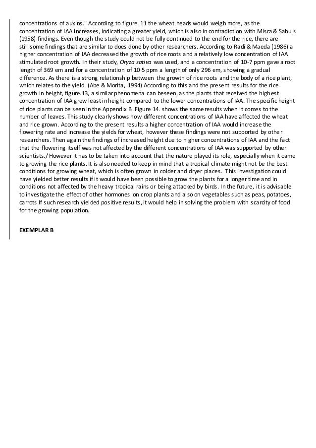 Extended essay examples history image