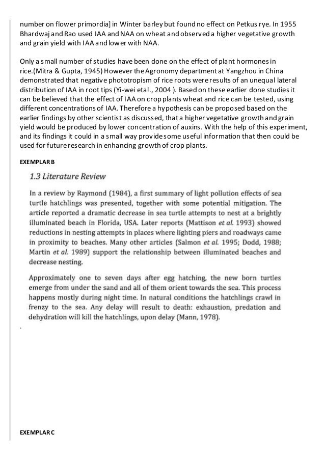 Extended essay examples economics image