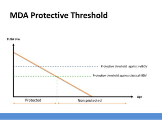 MDA Protective Threshold
ELISA titer
Age
Protected Non protected
Protective threshold against classical IBDV
Protective threshold against vvIBDV
 