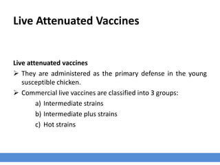 Live Attenuated Vaccines
Live attenuated vaccines
 They are administered as the primary defense in the young
susceptible chicken.
 Commercial live vaccines are classified into 3 groups:
a) Intermediate strains
b) Intermediate plus strains
c) Hot strains
 