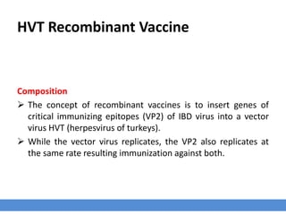 HVT Recombinant Vaccine
Composition
 The concept of recombinant vaccines is to insert genes of
critical immunizing epitopes (VP2) of IBD virus into a vector
virus HVT (herpesvirus of turkeys).
 While the vector virus replicates, the VP2 also replicates at
the same rate resulting immunization against both.
 