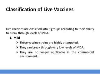 Classification of Live Vaccines
Live vaccines are classified into 3 groups according to their ability
to break through levels of MDA.
1. Mild
 These vaccine strains are highly attenuated.
 They can break through very low levels of MDA.
 They are no longer applicable in the commercial
environment.
 