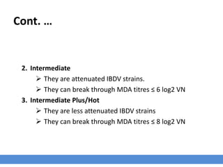 Cont. …
2. Intermediate
 They are attenuated IBDV strains.
 They can break through MDA titres ≤ 6 log2 VN
3. Intermediate Plus/Hot
 They are less attenuated IBDV strains
 They can break through MDA titres ≤ 8 log2 VN
 