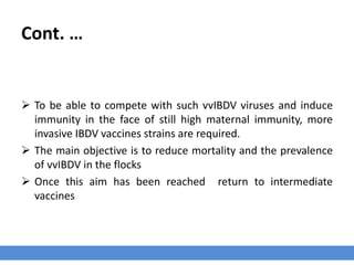 Cont. …
 To be able to compete with such vvIBDV viruses and induce
immunity in the face of still high maternal immunity, more
invasive IBDV vaccines strains are required.
 The main objective is to reduce mortality and the prevalence
of vvIBDV in the flocks
 Once this aim has been reached return to intermediate
vaccines
 