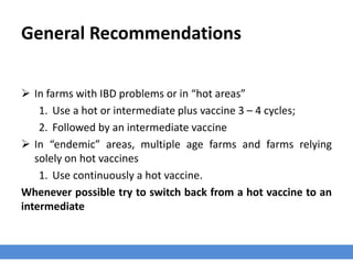 General Recommendations
 In farms with IBD problems or in “hot areas”
1. Use a hot or intermediate plus vaccine 3 – 4 cycles;
2. Followed by an intermediate vaccine
 In “endemic” areas, multiple age farms and farms relying
solely on hot vaccines
1. Use continuously a hot vaccine.
Whenever possible try to switch back from a hot vaccine to an
intermediate
 