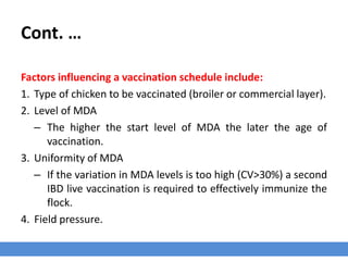 Cont. …
Factors influencing a vaccination schedule include:
1. Type of chicken to be vaccinated (broiler or commercial layer).
2. Level of MDA
– The higher the start level of MDA the later the age of
vaccination.
3. Uniformity of MDA
– If the variation in MDA levels is too high (CV>30%) a second
IBD live vaccination is required to effectively immunize the
flock.
4. Field pressure.
 