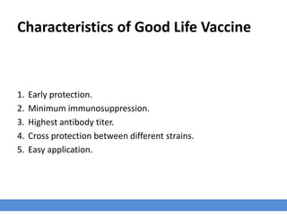Characteristics of Good Life Vaccine
1. Early protection.
2. Minimum immunosuppression.
3. Highest antibody titer.
4. Cross protection between different strains.
5. Easy application.
 