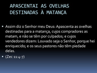 APASCENTAI AS OVELHAS DESTINADAS À MATANÇAAssim diz o Senhor meu Deus: Apascenta as ovelhas destinadas para a matança, cujos compradores as matam, e não se têm por culpados; e cujos vendedores dizem: Louvado seja o Senhor, porque hei enriquecido; e os seus pastores não têm piedade delas. (Zec 11:4-7)