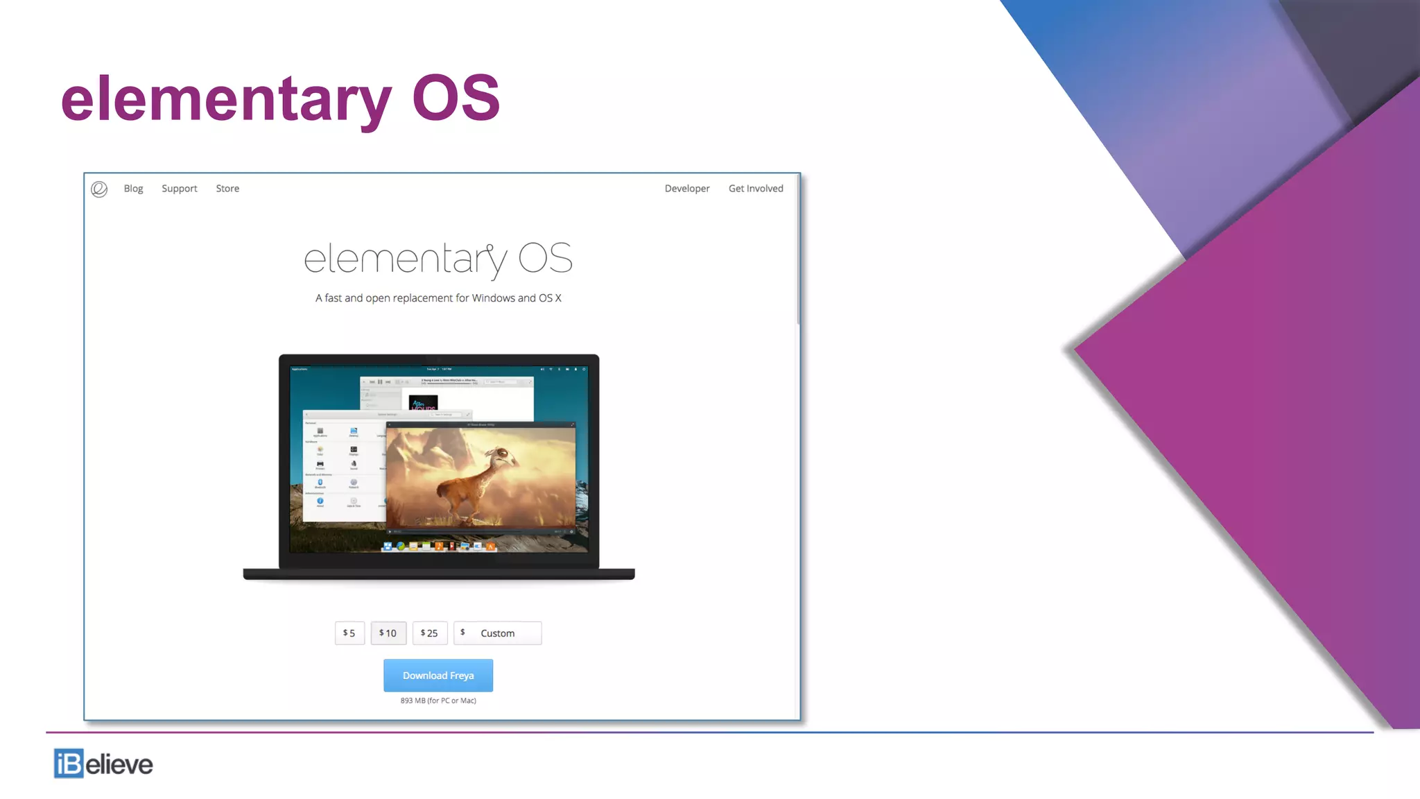 elementary OS
 